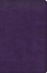 CSB Large Print Personal Size Reference Bible-- LeatherTouch, purple (indexed)
