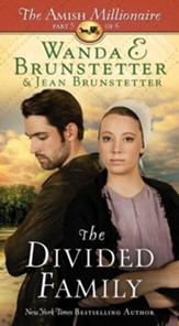 The Divided Family: The Amish Millionaire Part 5 - eBook