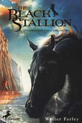 The Black Stallion  - Slightly Imperfect