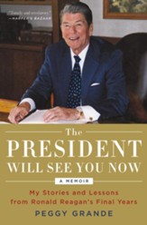 Days in the Sun: Lessons and Stories from Ronald Reagan's Final Years - eBook