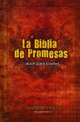 La Biblia de Promesas para Jóvenes RVR 1960, Enc. Dura  (RVR 1960 Promise Bible for Young Men, Hardcover)