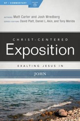 Exalting Jesus in John - eBook