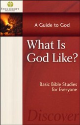 What Is God Like?: Basic Bible Studies for Everyone