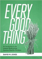 Every Good Thing: An Introduction of the Material World and the common Good for Christians