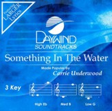 Something In The Water, Accompaniment CD