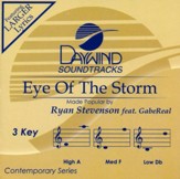 Eye of the Storm, Accompaniment CD
