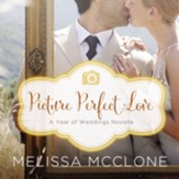 Picture Perfect Love: A June Wedding Story Audiobook [Download]
