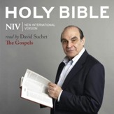 NIV, Audio Bible 7: The Gospels, Audio Download Audiobook [Download]