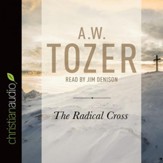 The Radical Cross: Living the Passion of Christ - Unabridged edition Audiobook [Download]