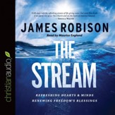 The Stream: Refreshing Hearts and Minds, Renewing Freedom's Blessing - Unabridged edition Audiobook [Download]