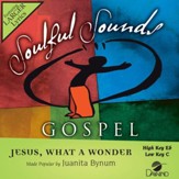 Jesus What A Wonder You Are [Music Download]