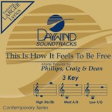 This Is How It Feels To Be Free [Music Download]