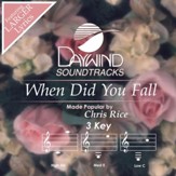 When Did You Fall? [Music Download]