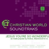 Jesus You're So Wonderful [Music Download]