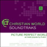 Picture Perfect World [Music Download]