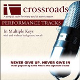 Never Give Up, Never Give In - Low without Background Vocals in E [Music Download]