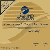 Can't Keep A Good Man Down [Music Download]