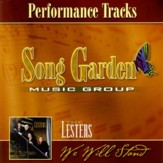 We Will Stand (Performance Track) [Music Download]