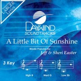 A Little Bit Of Sunshine [Music Download]