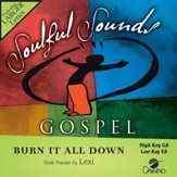 Burn It All Down [Music Download]