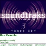 How Beautiful [Music Download]