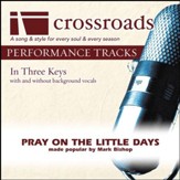 Pray On The Little Days (Performance Track Original with Background Vocals in B-C#) [Music Download]
