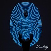 Identity, Deluxe Edition [Music Download]