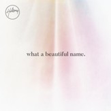 What A Beautiful Name, Alternate Acoustic [Music Download]