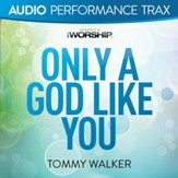 Only a God Like You [Original Key Without Background Vocals] [Music Download]