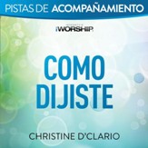 Como Dijiste [Original Key Trax without Background Vocals] [Music Download]