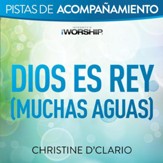 Dios es Rey (Muchas aguas) [Live] [Music Download]