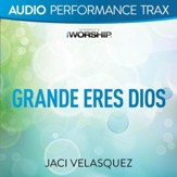 Grande eres Dios [Original Key Trax With Background Vocals] [Music Download]