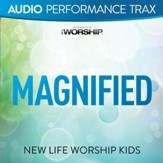Magnified (feat. Jared Anderson) [Original Key without Background Vocals] [Music Download]