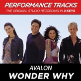 Wonder Why (Premiere Performance Plus Track) [Music Download]