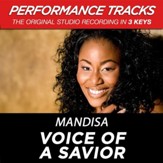 Voice Of A Savior (Medium Key-Premiere Performance Plus w/ Background Vocals) [Music Download]