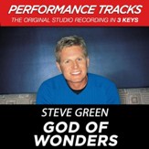 God Of Wonders (Key-Bb-C-Premiere Performance Plus w/ Background Vocals) [Music Download]