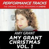 Amy Grant Christmas Vol. 1 (Premiere Performance Plus Track) [Music Download]