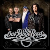 The Boys Are Back [Music Download]