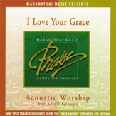 Acoustic Worship: I Love Your Grace [Music Download]