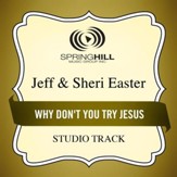 Why Don't You Try Jesus (Low Key Performance Track Without Background Vocals) [Music Download]