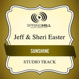 Sunshine (Low Key Performance Track Without Background Vocals) [Music Download]