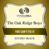 You Can't Fix It (Medium Key Performance Track With Background Vocals) [Music Download]