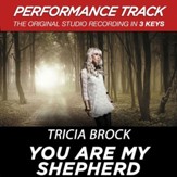 You Are My Shepherd (Low Key Performance Track Without Background Vocals) [Music Download]