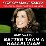 Better Than A Hallelujah (Low Key Performance Track Without Background Vocals) [Music Download]