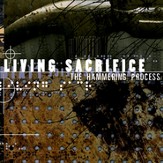 The Hammering Process [Music Download]