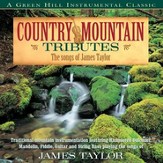Country Mountain Tributes: The Songs Of James Taylor [Music Download]