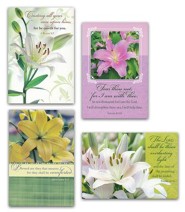 Greeting Cards