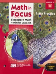 Math In Focus Course 1 Grade 6 Extra Practice B