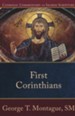 First Corinthians: Catholic Commentary on Sacred Scripture [CCSS]