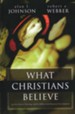 What Christians Believe: An Overview of Theology and Its Biblical and  Historical Development